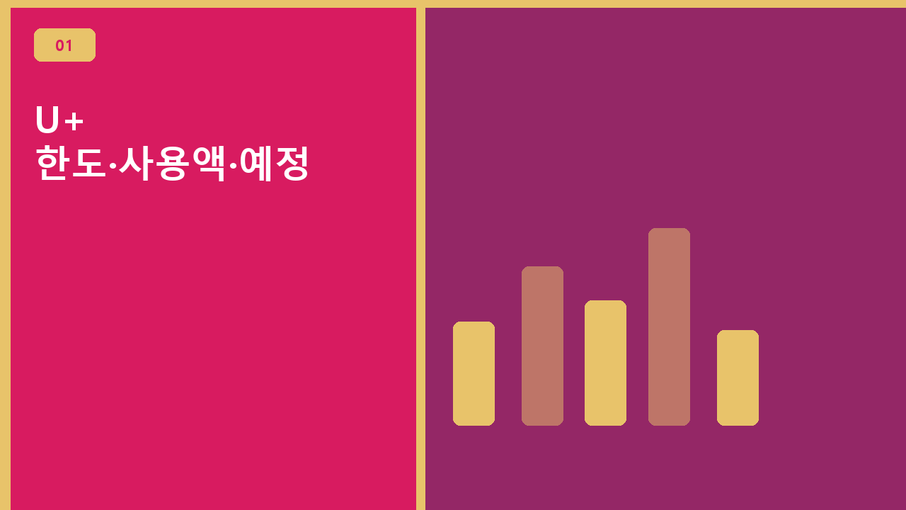 U+ 한도·사용액·예정