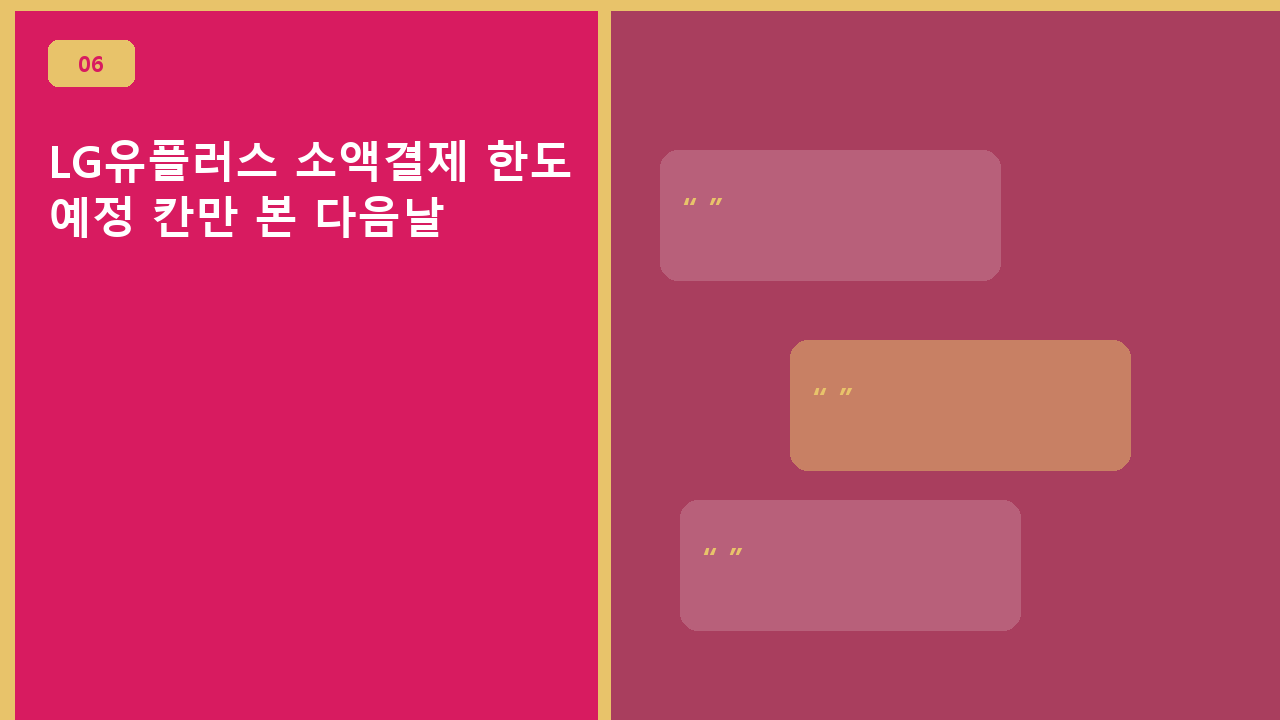 LG유플러스 소액결제 한도, 예정 칸만 본 다음날